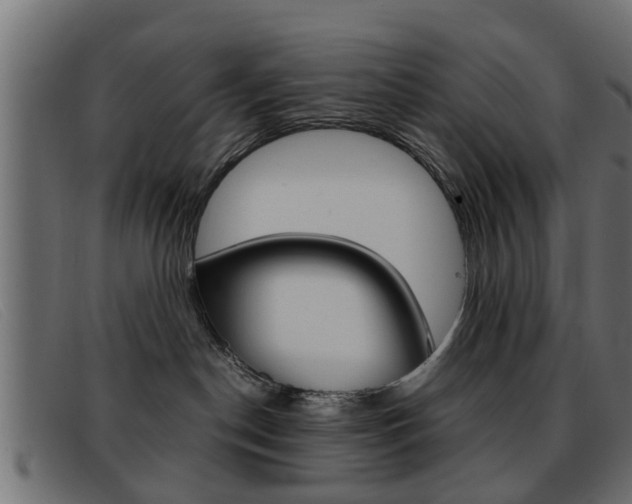 X0000093390190200710111354