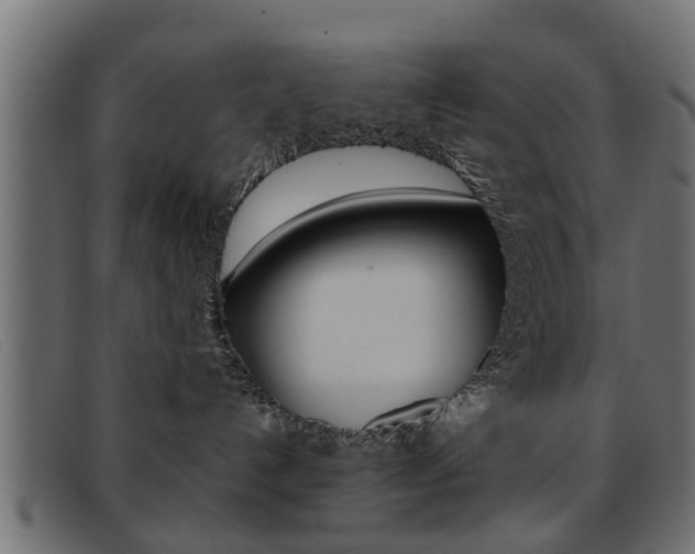 X0000093390192200710111354