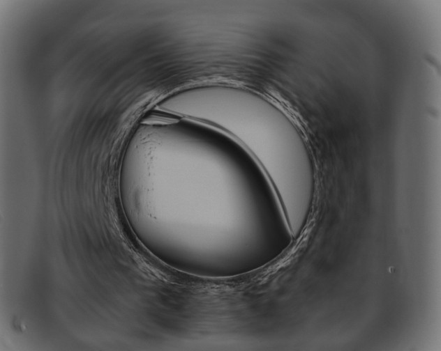 X0000093390193200710111354