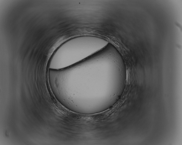 X0000093390195200710111354