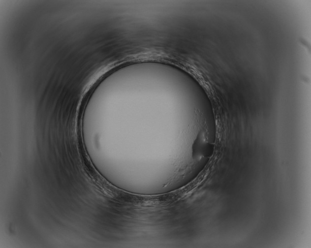 X0000093390196200710111354