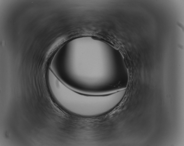 X0000093390197200710111354