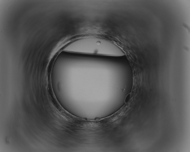 X0000093390198200710111354