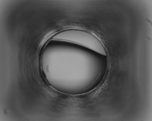 X0000093390199200710111354