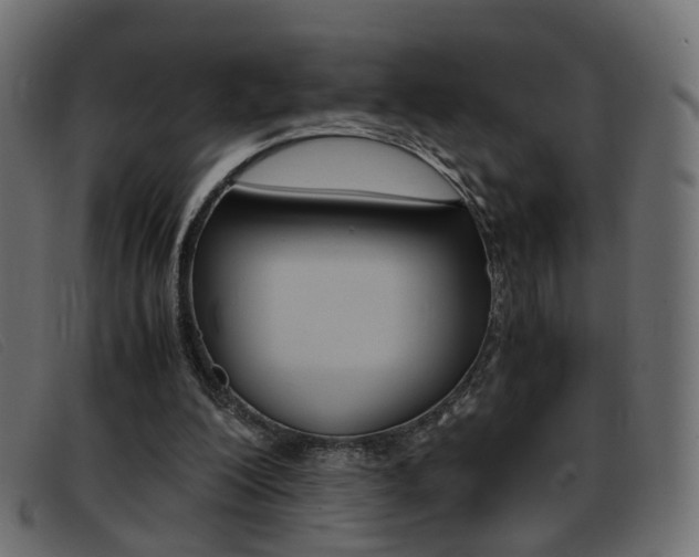 X0000093390200200710111354