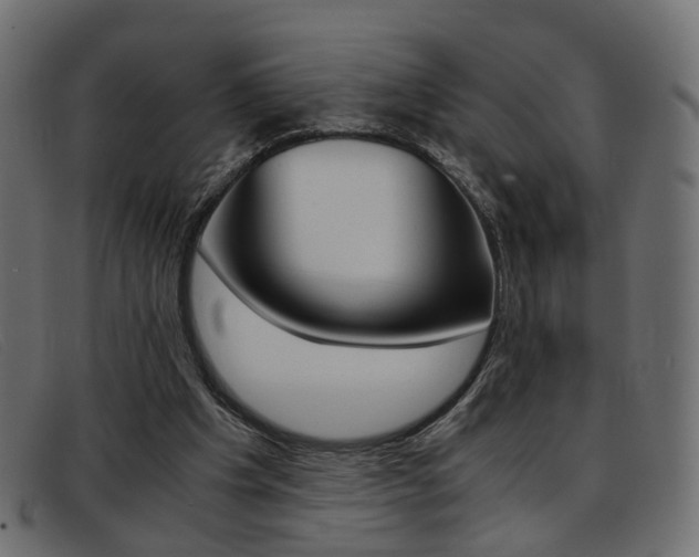 X0000093390201200710111354