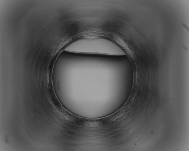 X0000093390202200710111354