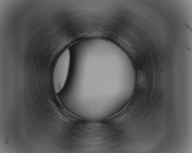 X0000093390206200710111354