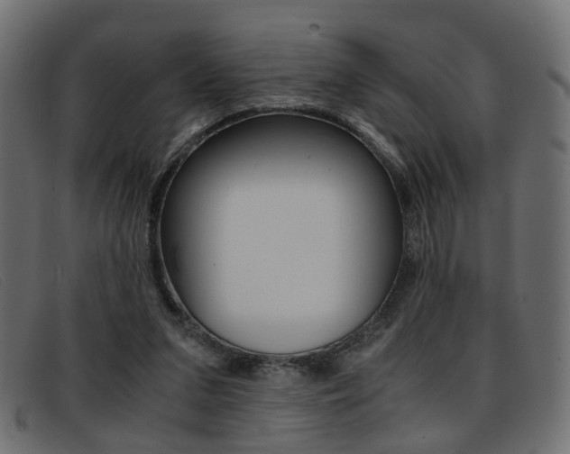 X0000093390207200710111354