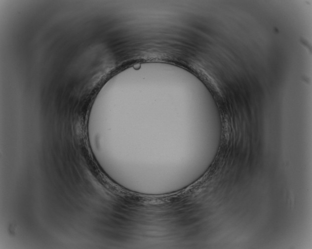 X0000093390208200710111354