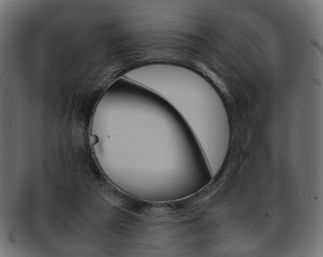 X0000093390209200710111354