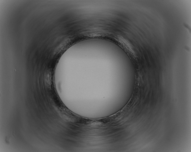 X0000093390210200710111354