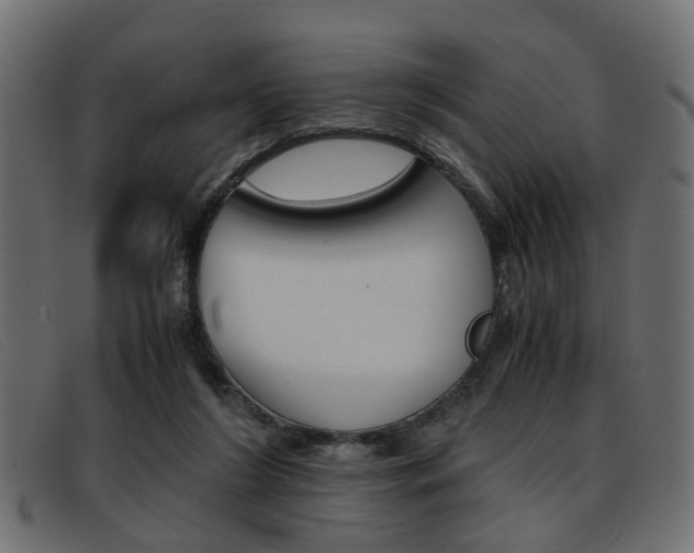 X0000093390212200710111354