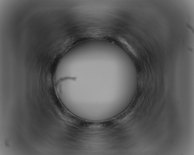 X0000093390213200710111354
