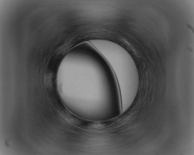 X0000093390217200710111353