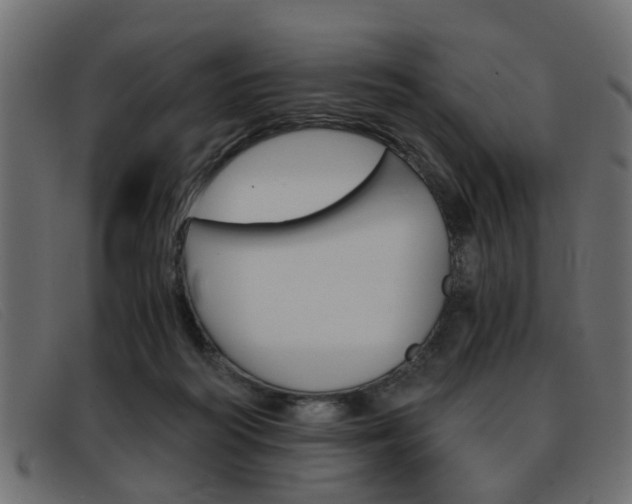 X0000093390218200710111353