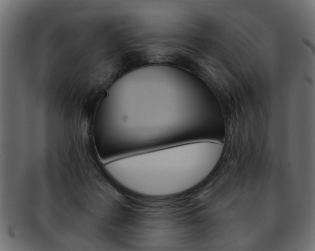 X0000093390219200710111353