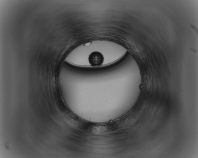X0000093390220200710111353