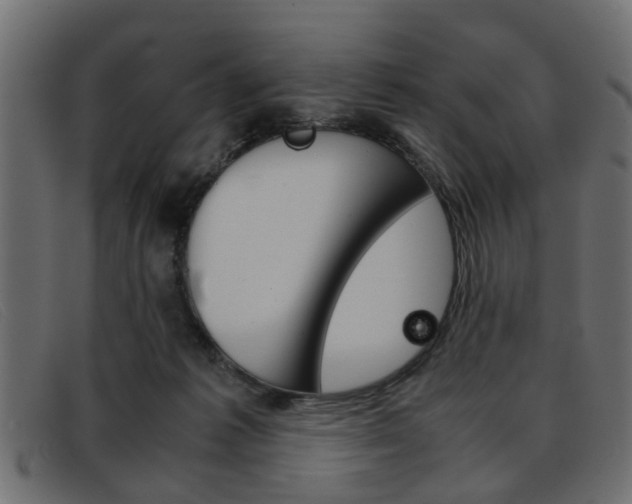 X0000093390221200710111353