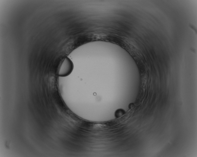 X0000093390222200710111353