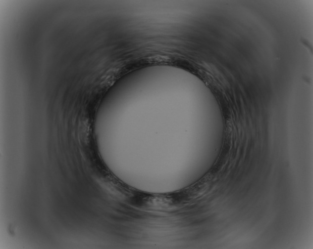 X0000093390223200710111353