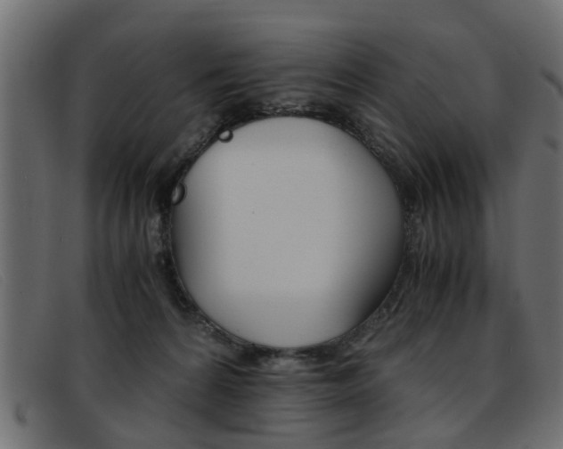 X0000093390224200710111353