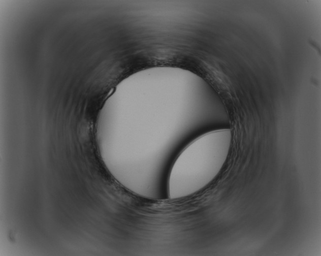 X0000093390225200710111353