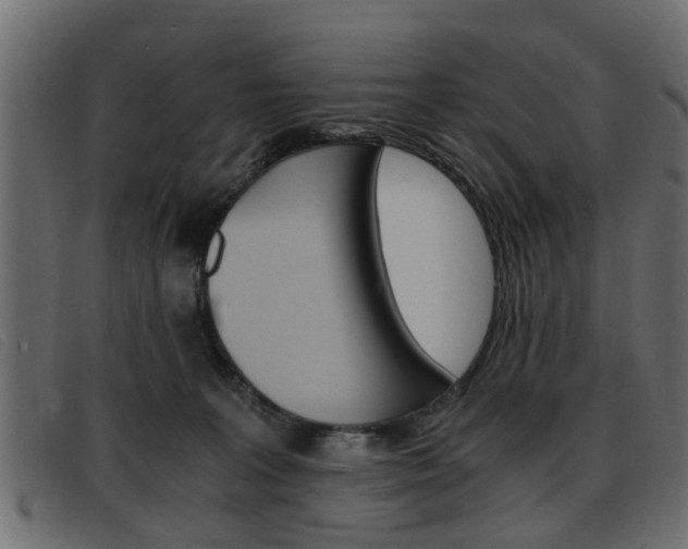 X0000093390227200710111353