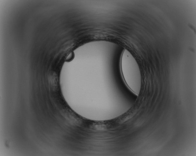 X0000093390228200710111353