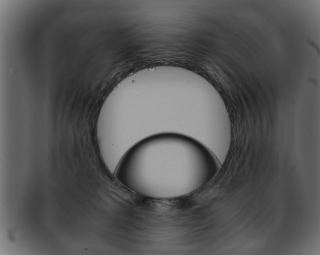 X0000093390229200710111353