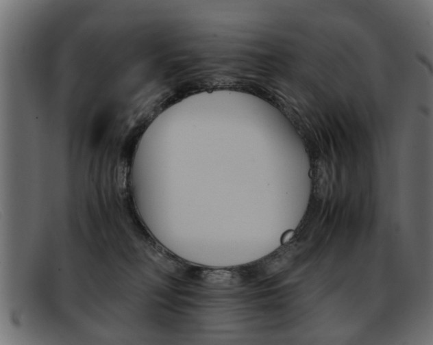 X0000093390230200710111353