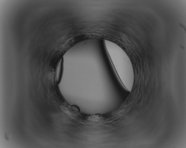 X0000093390231200710111353