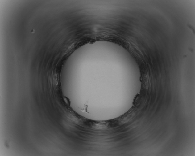 X0000093390232200710111353