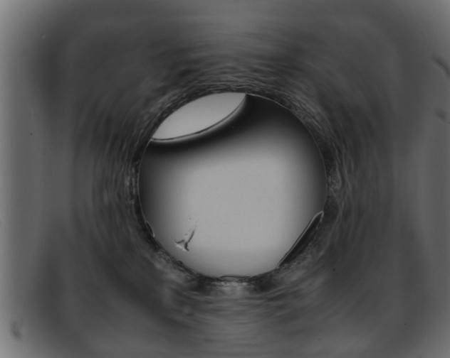X0000093390233200710111353