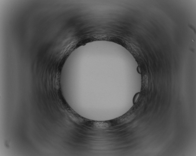 X0000093390234200710111353