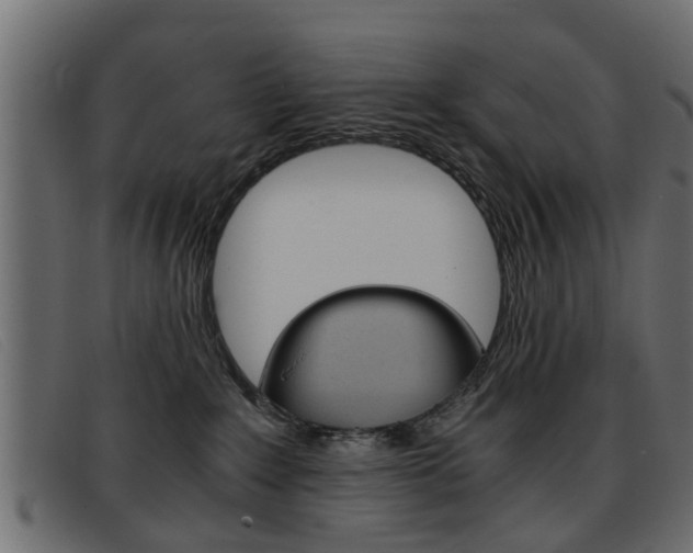 X0000093390235200710111353