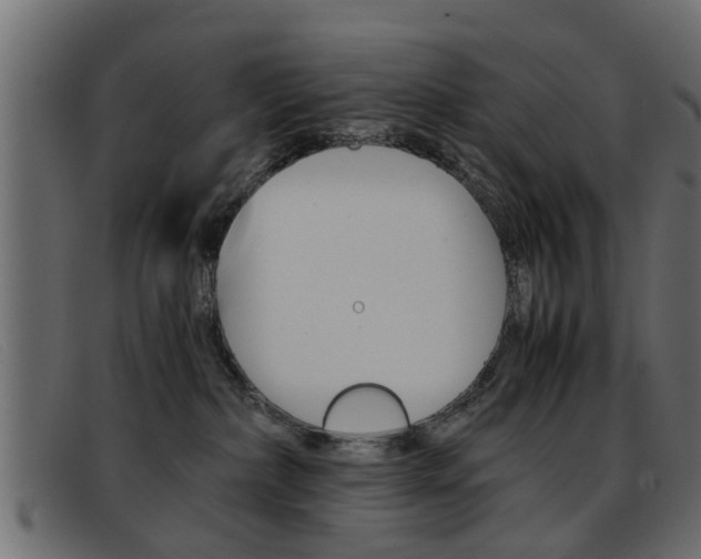X0000093390236200710111353