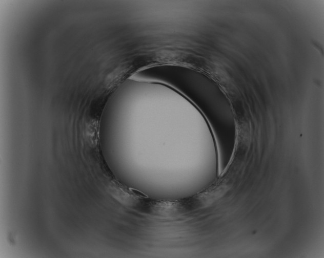 X0000093390237200710111353