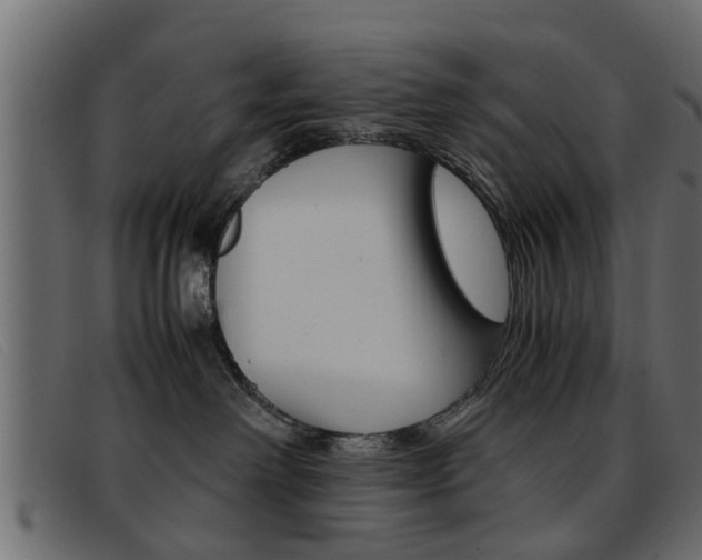 X0000093390238200710111353