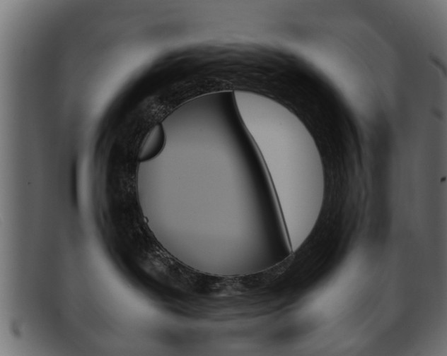 X0000093390239200710111353