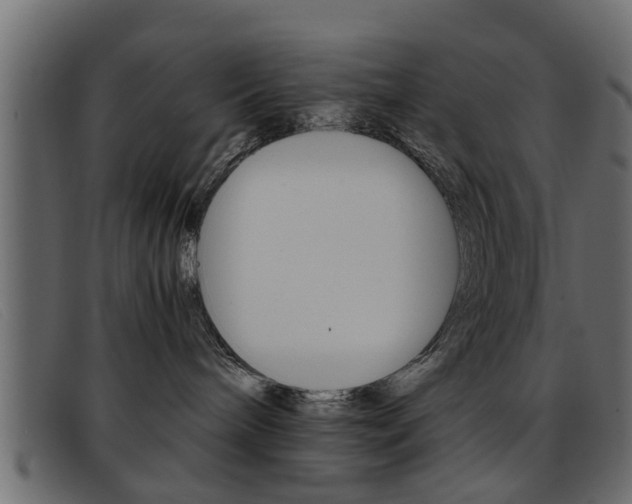 X0000093390240200710111353