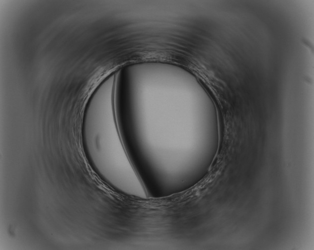 X0000093390241200710111353