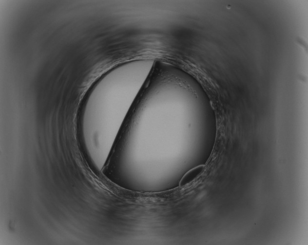 X0000093390242200710111353