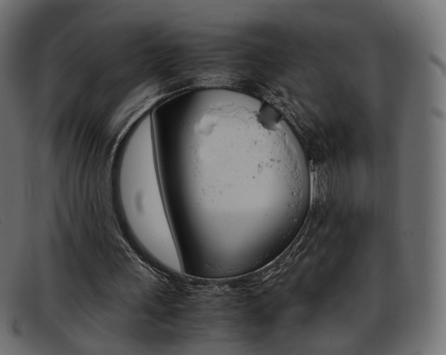 X0000093390243200710111353