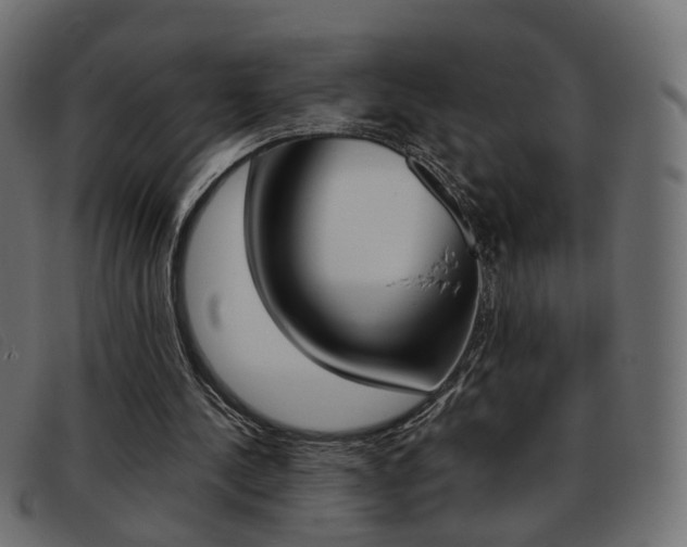 X0000093390244200710111353