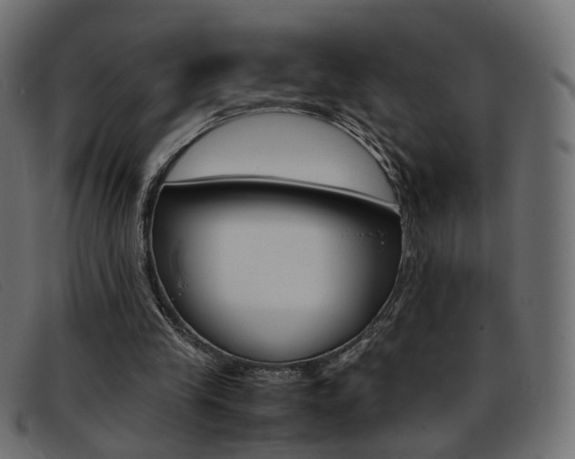 X0000093390245200710111353