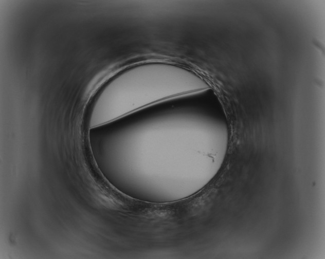 X0000093390247200710111353