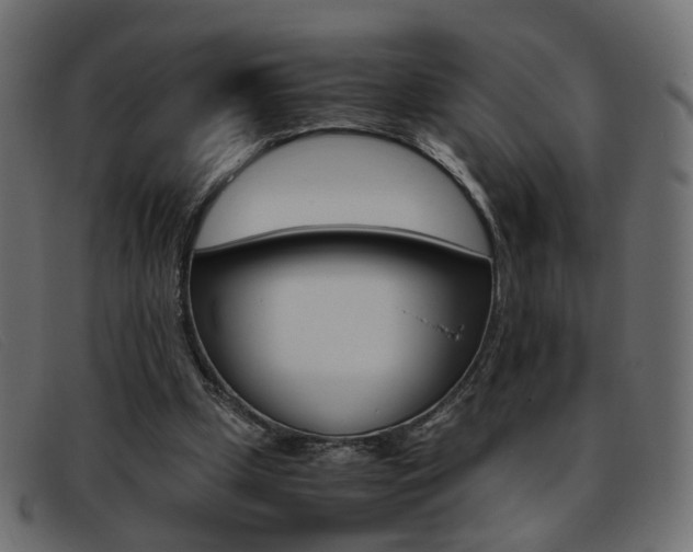 X0000093390249200710111353
