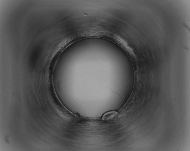X0000093390250200710111353