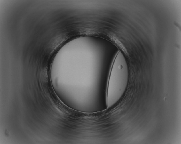 X0000093390251200710111353